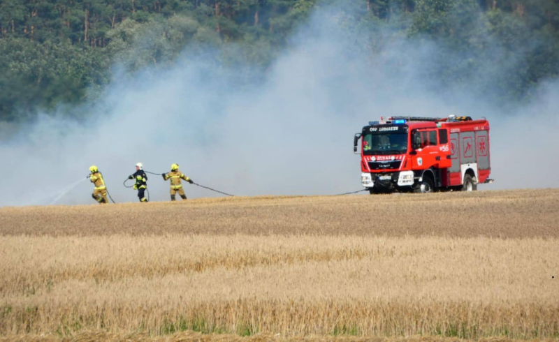 2/6 Pożar zboża w Stawie