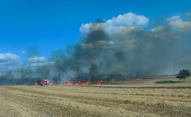3/6 Pożar zboża w Stawie