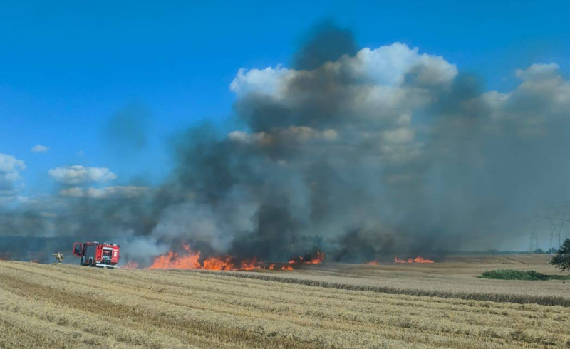 4/6 Pożar zboża w Stawie