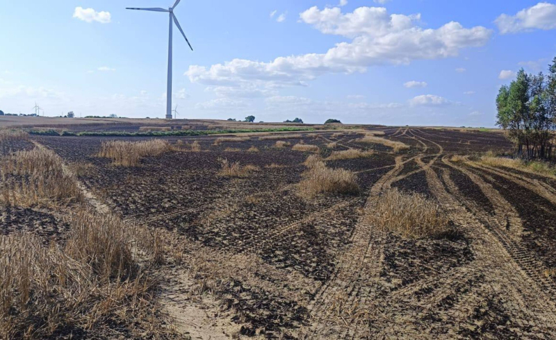 5/6 Pożar zboża w Stawie