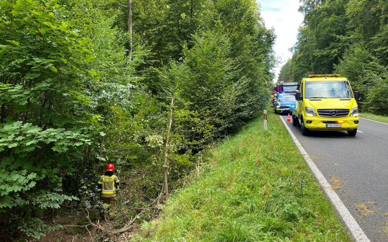 4/6 Dachowanie opla na drodze z Kłodawy do Barlinka