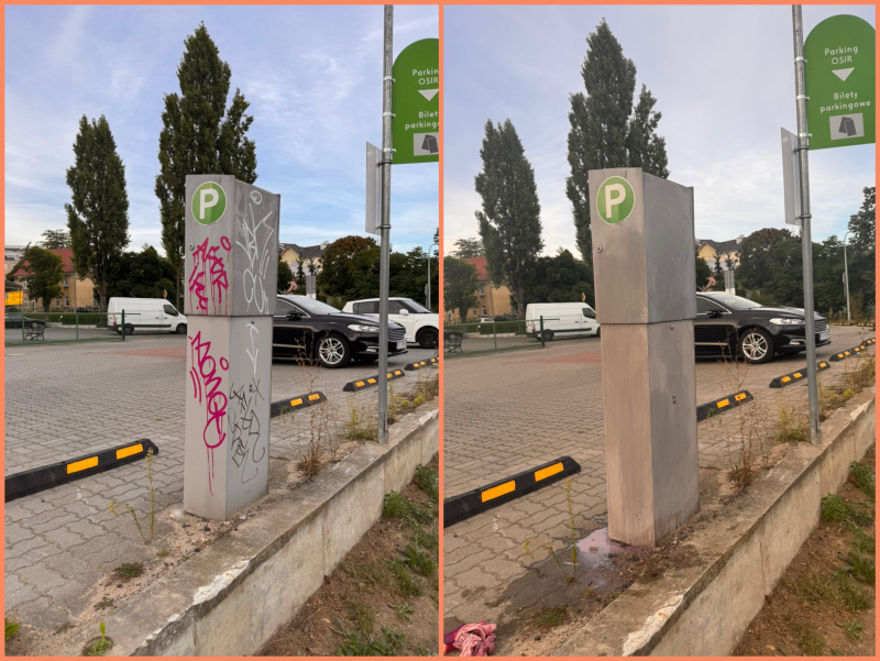 1/12 Społecznik oczyścił estakadę kolejową w Gorzowie