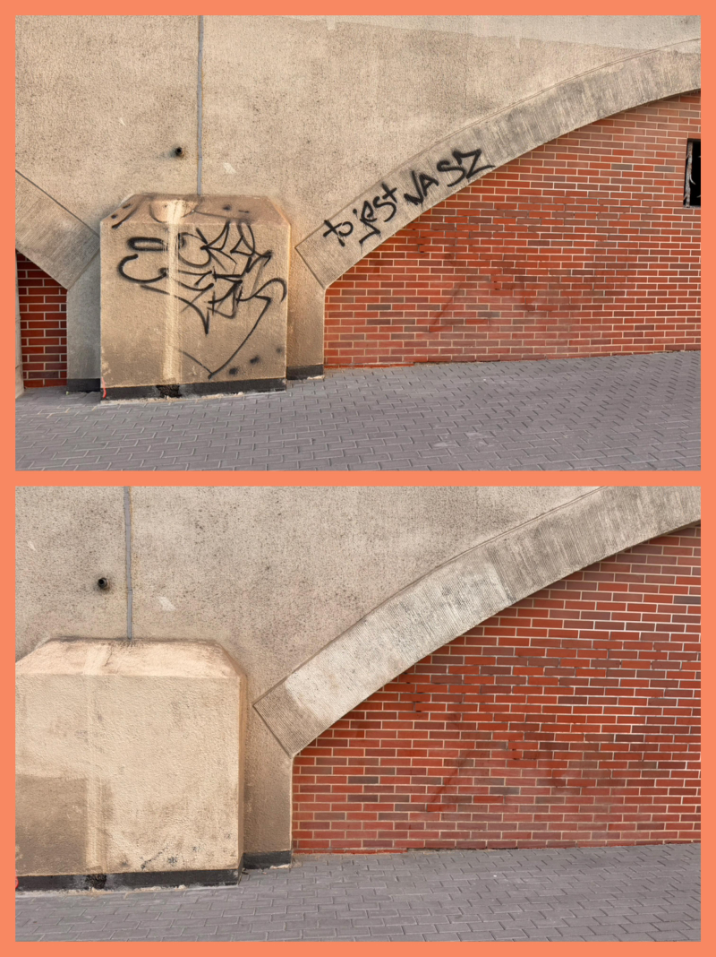 6/12 Społecznik oczyścił estakadę kolejową w Gorzowie