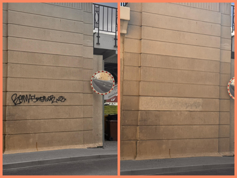 7/12 Społecznik oczyścił estakadę kolejową w Gorzowie