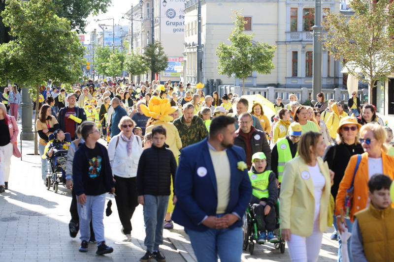 9/23 Korowód Wrażliwości w Gorzowie