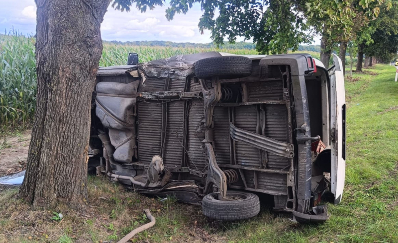 1/5 Dachowanie busa na D130 koło Wysokiej
