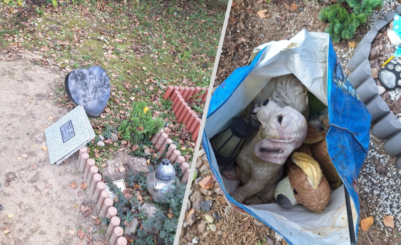 2/10 Zdewastowane groby zwierząt na Polanie Przyjaciół