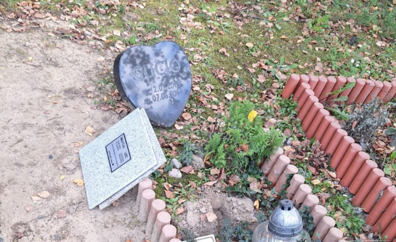 3/10 Zdewastowane groby zwierząt na Polanie Przyjaciół