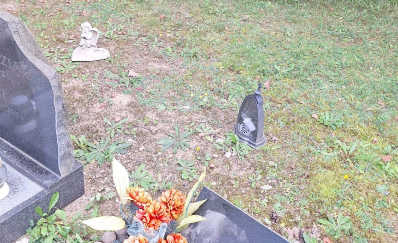 4/10 Zdewastowane groby zwierząt na Polanie Przyjaciół