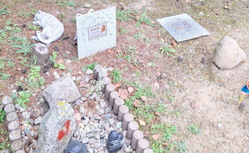 5/10 Zdewastowane groby zwierząt na Polanie Przyjaciół