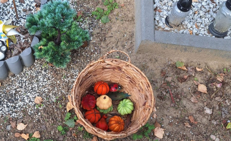 6/10 Zdewastowane groby zwierząt na Polanie Przyjaciół