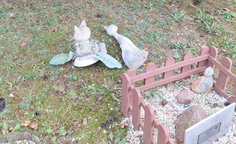 7/10 Zdewastowane groby zwierząt na Polanie Przyjaciół