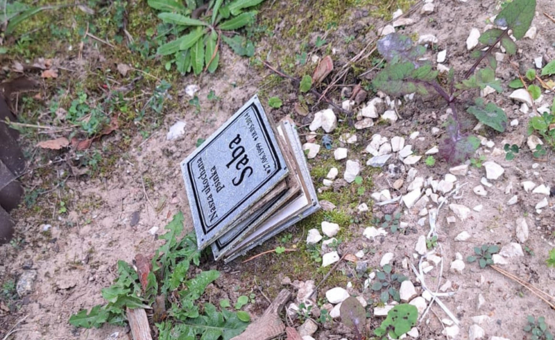 8/10 Zdewastowane groby zwierząt na Polanie Przyjaciół