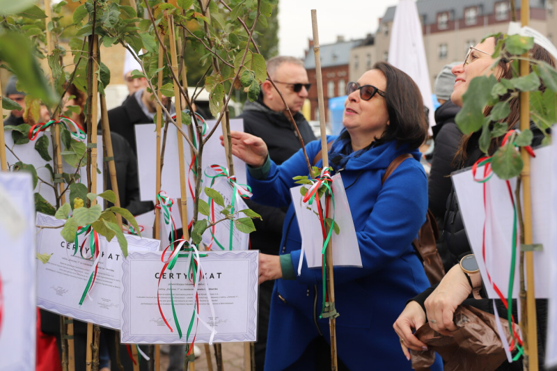 2/7 I Festiwal Renety Landsberskiej w Gorzowie 2025