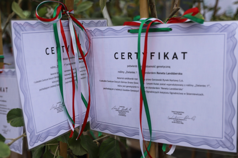 4/7 I Festiwal Renety Landsberskiej w Gorzowie 2025