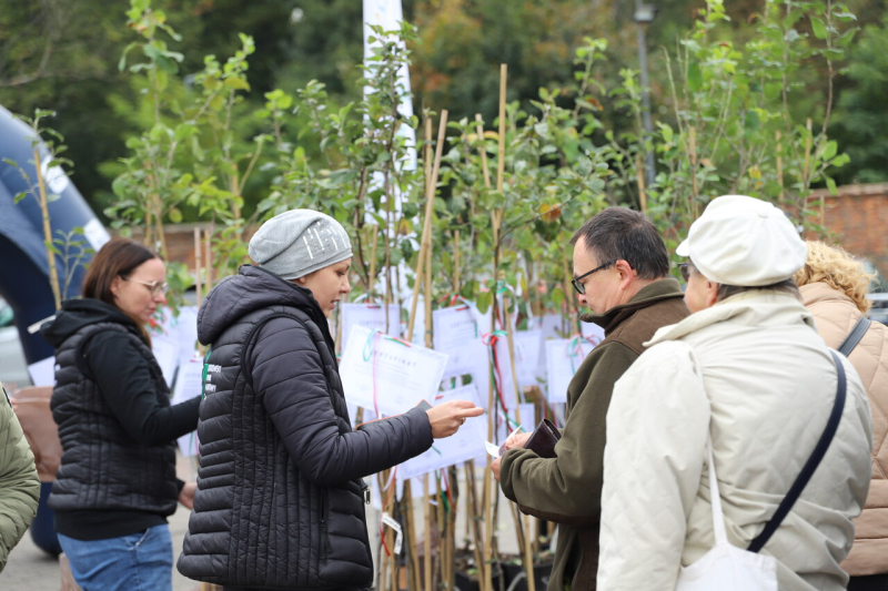 6/7 I Festiwal Renety Landsberskiej w Gorzowie 2025