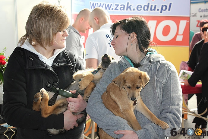 25/26 Gorzów: X Targi Edukacyjne Absolwent 2012