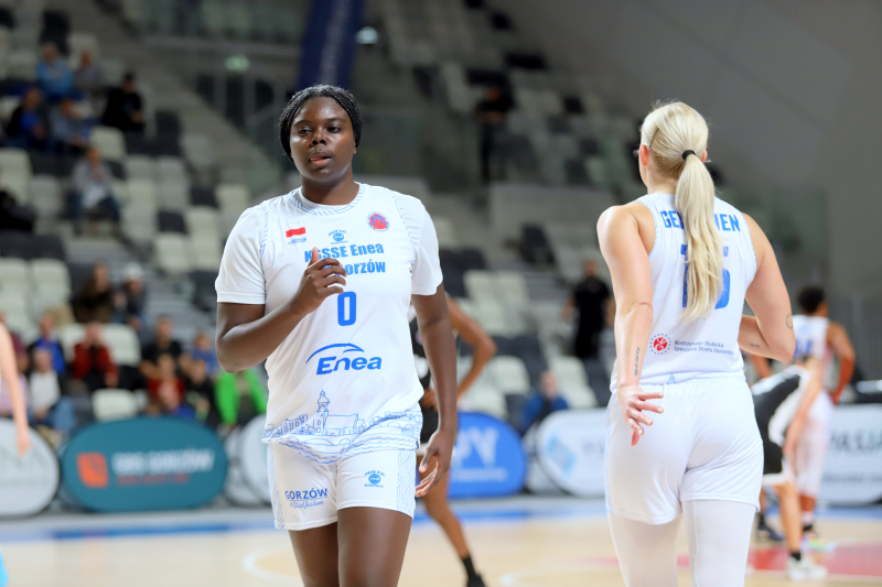 13/19 KSSSE Enea AJP Gorzów Wielkopolski - BOA Stambuł 