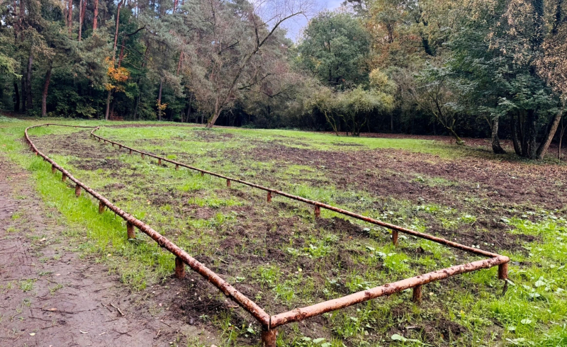 2/7 Prace przy modernizacji parku Czechówek w Gorzowie