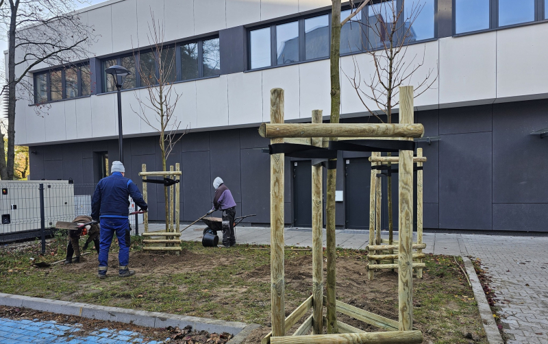 1/4 Jesienne sadzenie drzew w Gorzowie