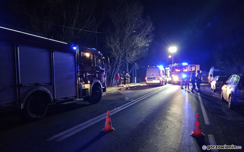 2/5 Śmiertelne potrącenie kobiety na DK22 w Krasowcu