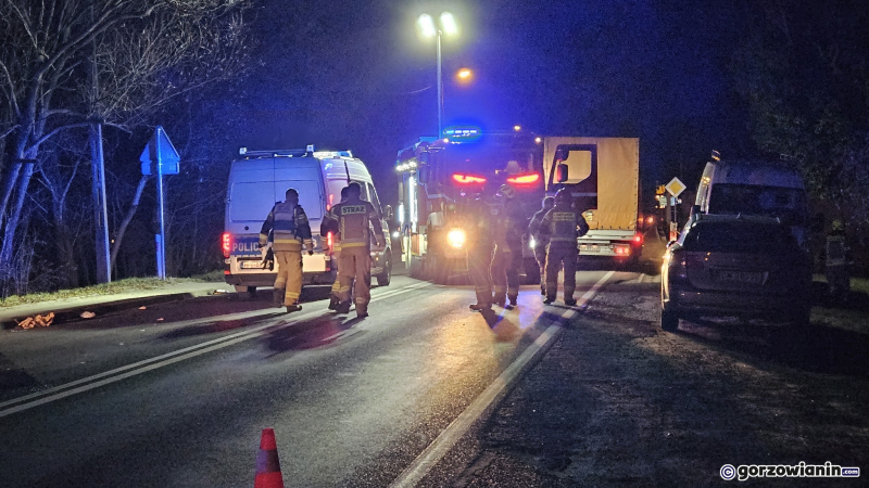 5/5 Śmiertelne potrącenie kobiety na DK22 w Krasowcu