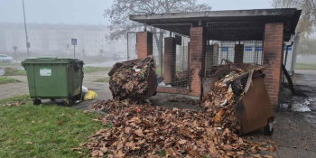 Pożar altany śmietnikowej na Narutowicza