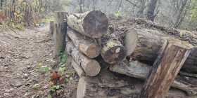 Bike Park Wieprzyce w Gorzowie