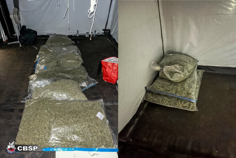 5/9 CBŚP rozbiło międzynarodową grupę przestępczą