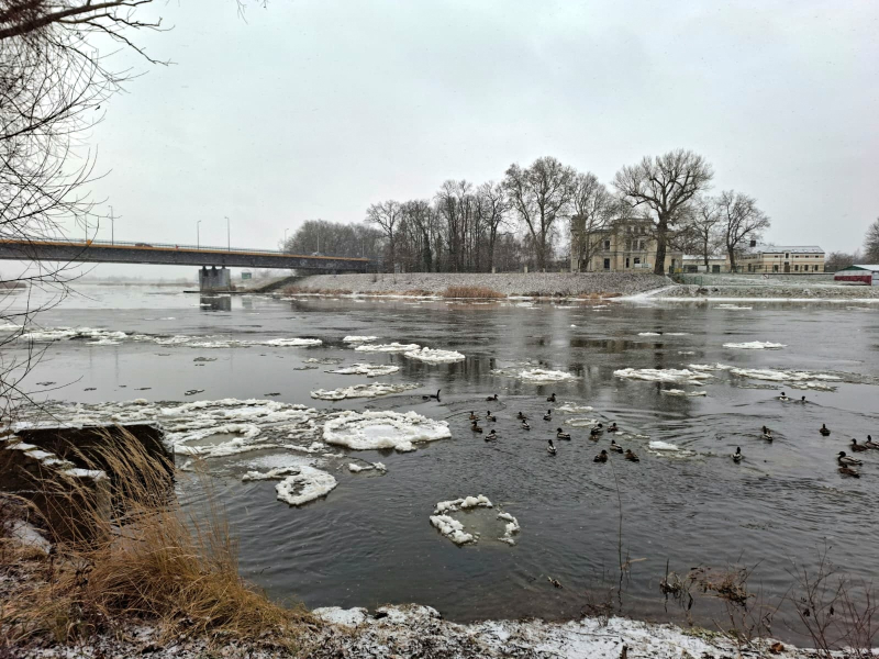 2/7 Zima nad Wartą. Śryż pojawił się na rzece w Gorzowie