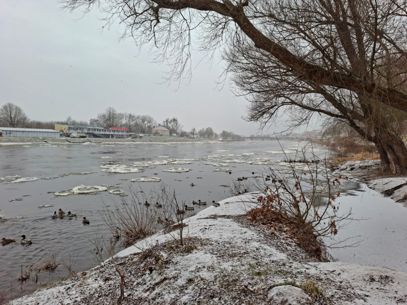 7/7 Zima nad Wartą. Śryż pojawił się na rzece w Gorzowie