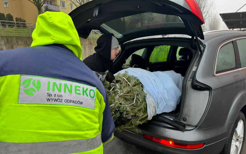 6/9 Choinka dla Alpaki 2026 - zbiórka choinek w Gorzowie