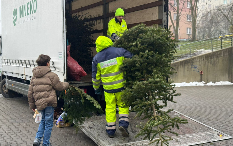 7/9 Choinka dla Alpaki 2026 - zbiórka choinek w Gorzowie