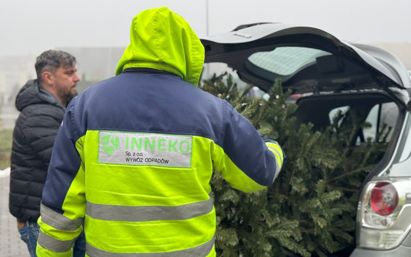 9/9 Choinka dla Alpaki 2026 - zbiórka choinek w Gorzowie