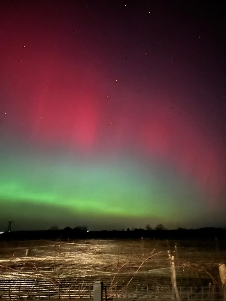 1/26 Zdjęcia zorzy polarnej czytelników gorzowianin.com