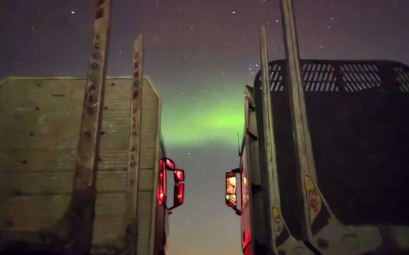 10/26 Zdjęcia zorzy polarnej czytelników gorzowianin.com