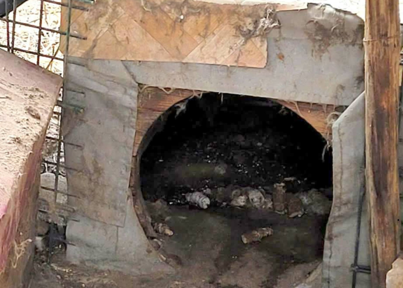 13/15 Skandaliczne warunki w jakich żyły trzy psy. Interwencja OTOZ Animals Gorzów