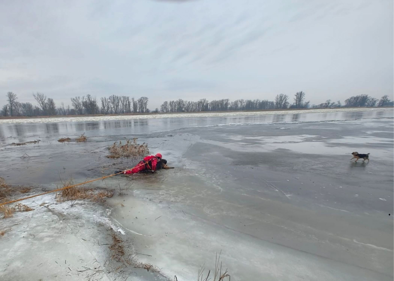 1/8 Pod psem na Odrze załamał się lód. Uratowali go strażacy
