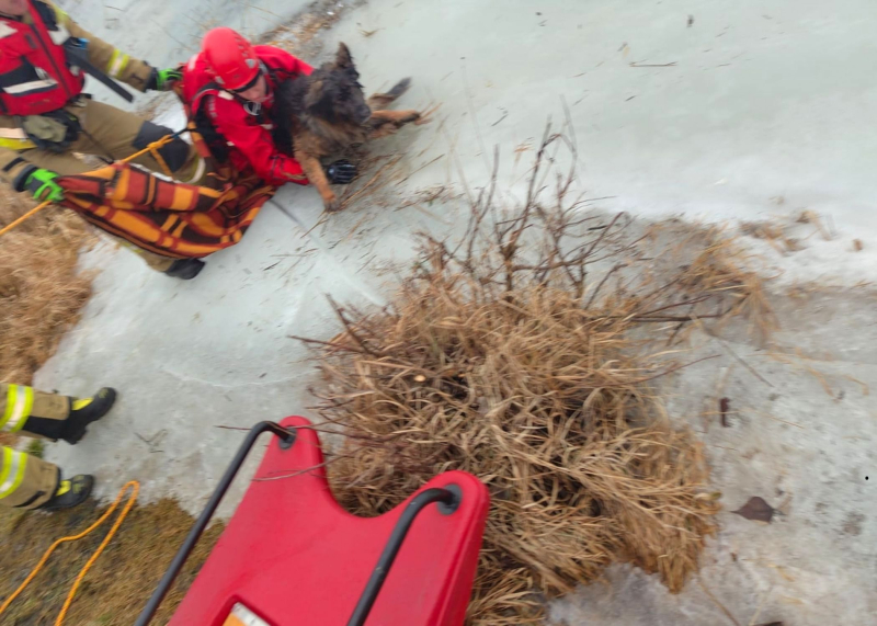 2/8 Pod psem na Odrze załamał się lód. Uratowali go strażacy