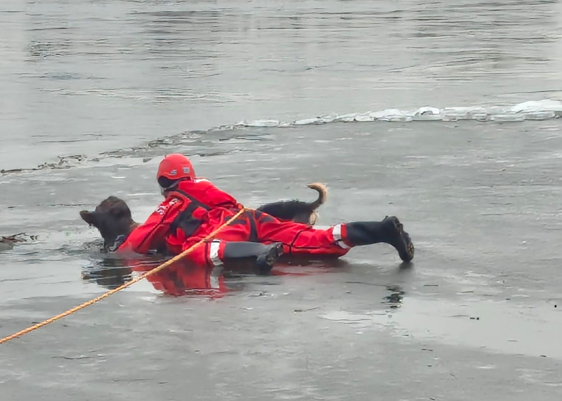 4/8 Pod psem na Odrze załamał się lód. Uratowali go strażacy