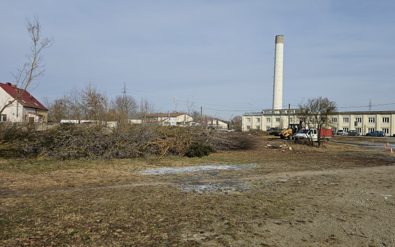 1/7 Wycinka drzew pod budowę Retail Parku na Zakanlu
