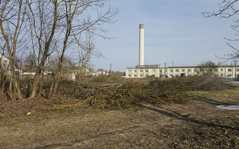 2/7 Wycinka drzew pod budowę Retail Parku na Zakanlu
