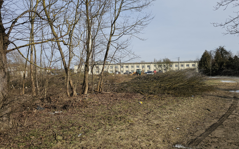 3/7 Wycinka drzew pod budowę Retail Parku na Zakanlu