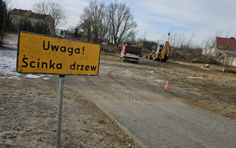 6/7 Wycinka drzew pod budowę Retail Parku na Zakanlu