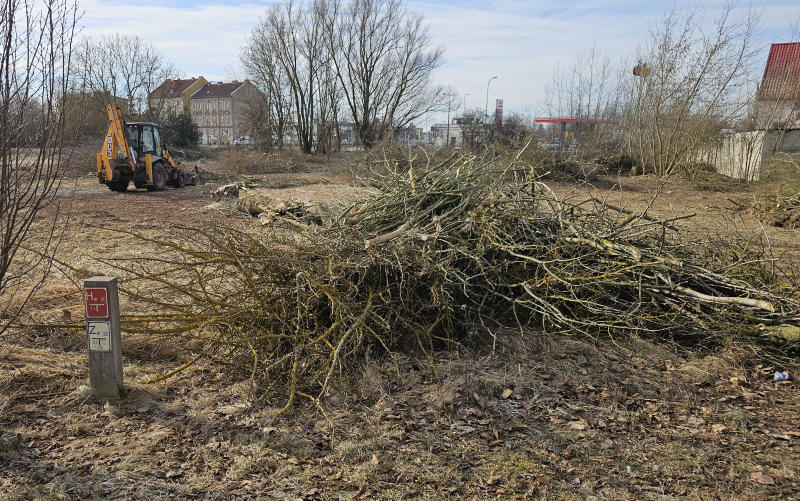 7/7 Wycinka drzew pod budowę Retail Parku na Zakanlu