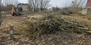 Wycinka drzew pod budowę Retail Parku na Zakanlu