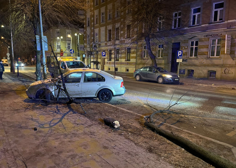 1/6 Pijany kierowca Volkswagena uderzył w drzewo na Borowskiego