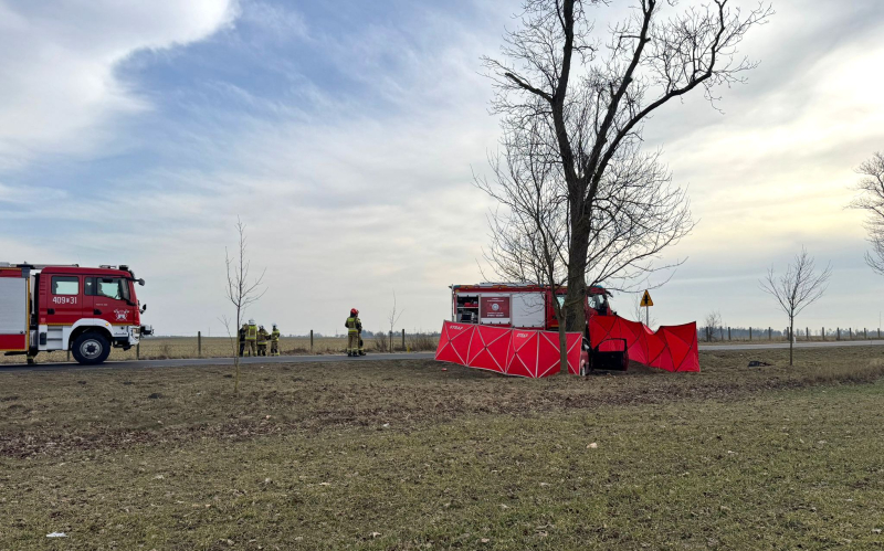 1/10 Śmiertelny wypadek na DK22. Nie żyje kierowca forda