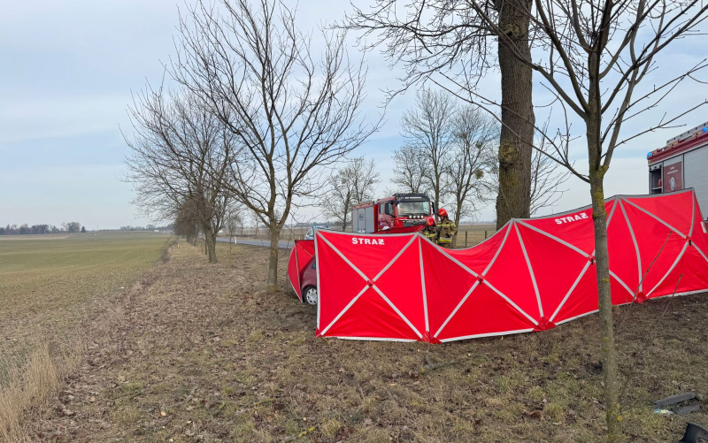 3/10 Śmiertelny wypadek na DK22. Nie żyje kierowca forda