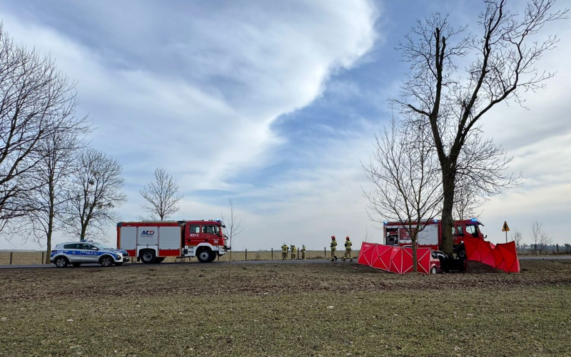 4/10 Śmiertelny wypadek na DK22. Nie żyje kierowca forda